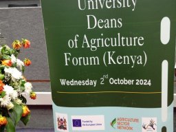 DAF banner